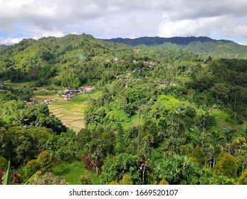 The View From The Top Of The Hill