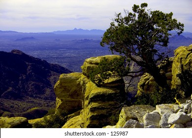 View From Top Of Mount Lemmon Arizona