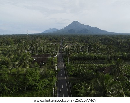 The view from the top of Mount Merapi, Yogyakarta is so beautiful