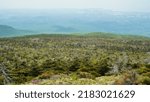 View from the top of Mt. Halla