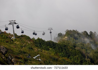 View from top of ropeway with multiple seats and stretched cables above trees in deep fog. Mountains of the North Caucasus.