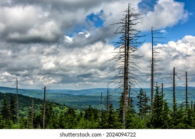 View From The Top, Snowshoe Mountain, Pocahontas County, West Virginia, USA