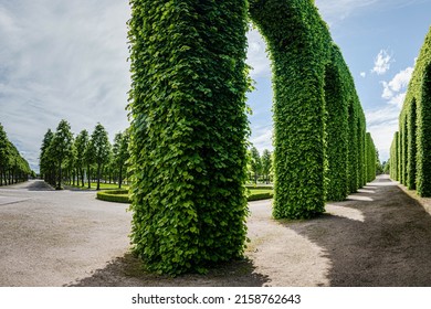 A View Of A Topiary Hedge In The Well-groomed Park 