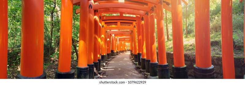 View to Torii gates in Fushimi Inari Shrine. Famous place in Kyoto, Japan - Powered by Shutterstock