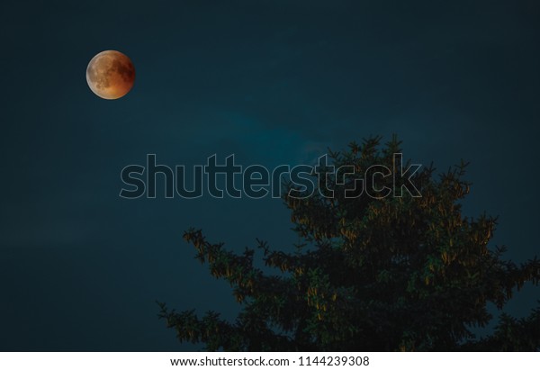 View of Total Lunar Eclipse bloodmoon on July 28\
2018 in Germany