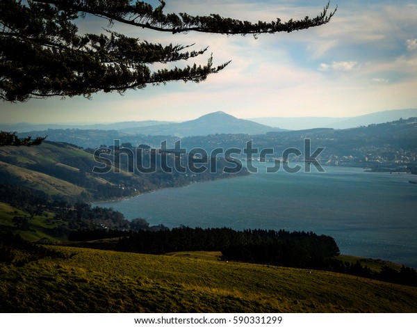 View Towards Dunedin New Zealand Mountains Stock Photo Edit Now