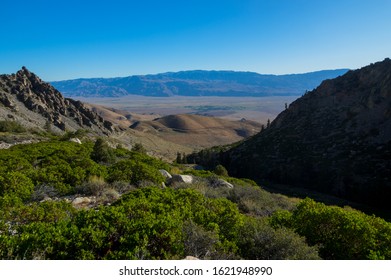 View Towards Owens River Valley