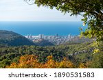 View of a town Tirat Carmel from the reserve Hai Bar Carmel located on the territory of the mountain massif Carmel in Israel in autumn day