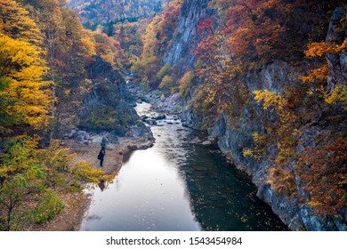 A view of Toyohira river in autumn colors at the Jozankei Gensen national park, Hokkaido, Japan, With long exposure technique created movement people and tree leaf on the surface river.  - Shutterstock ID 1543454984