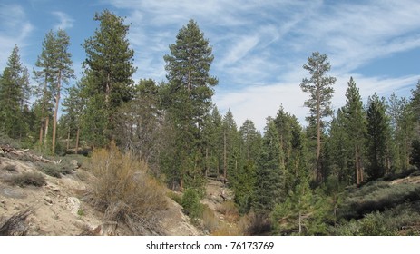 View From The Trail To Little Green Valley, Lake Arrowhead, CA