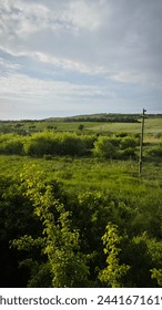 view from the train window