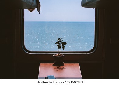 View from the train window to the calm blue sea. Beautifully shimmer glare on the waves. There is a flower on the table. Sochi, Russia - Powered by Shutterstock