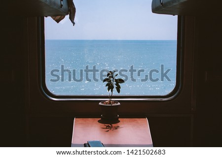 View from the train window to the calm blue sea. Beautifully shimmer glare on the waves. There is a flower on the table. Sochi, Russia