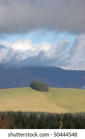 View with tree copse on a hillside near Aberfoyle, Scotland