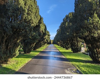 View of a tree lined avenue road through beautiful leafy countryside - Powered by Shutterstock