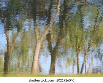 view of the tree reflection on clear water texture