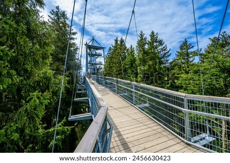 View of the tree top path and trail in beautiful mountain scenery - Skywalk in Alps - Travel destination in Scheidegg, Bavaria, Germany -