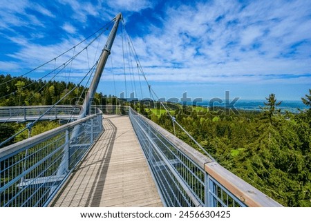 View of the tree top path and trail in beautiful mountain scenery - Skywalk in Alps - Travel destination in Scheidegg, Bavaria, Germany -