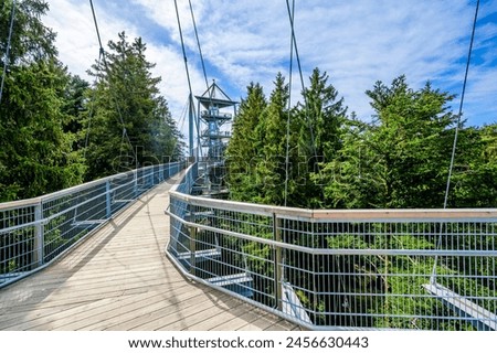 View of the tree top path and trail in beautiful mountain scenery - Skywalk in Alps - Travel destination in Scheidegg, Bavaria, Germany -