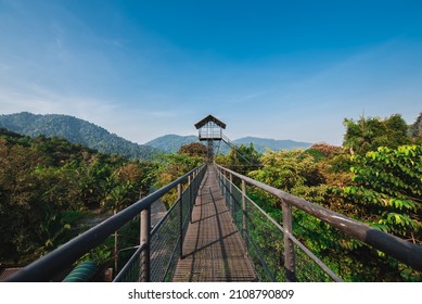 A View Of A Treehouse Across The Bridge In The Jungles Of Thailand