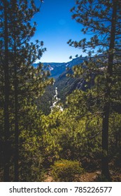 View from the trees