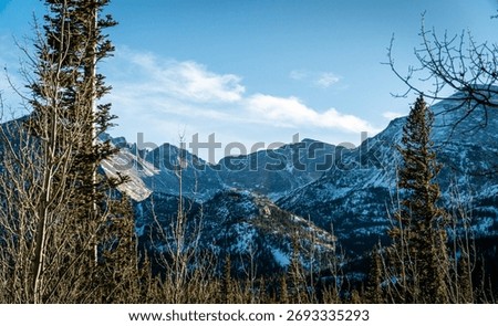 A view of trees in the background of Estes park rocky mountains in Colorado during the winter.