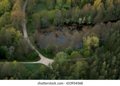 View of a trees with a balloon