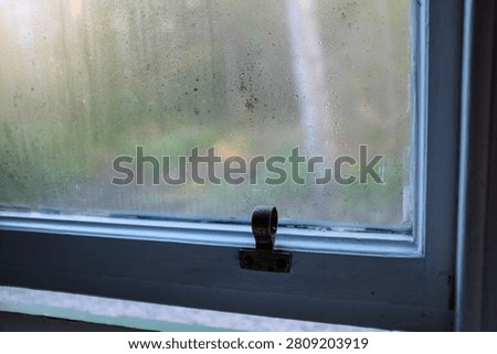 view of trees in forest at dawn through a steamed windowpane