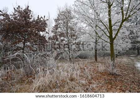 Similar – Windig heute Umwelt Natur