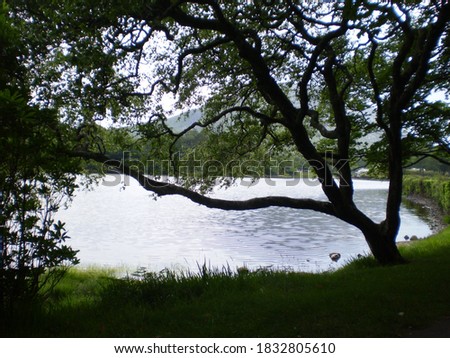 Similar – Stone jetty by the lake