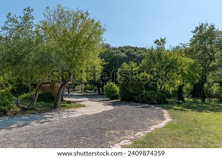 View of the trees path and grass at Bet She'arim National Park in Kiryat Tivon, Israel
