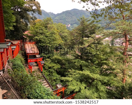 View of trees and the steps to enter  Taikodani Inari Shrine, Shimane, Japan.