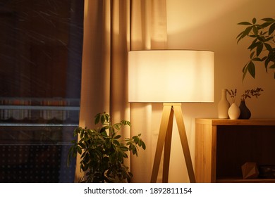 View of tripod lamp in a cozy living room spending warm light