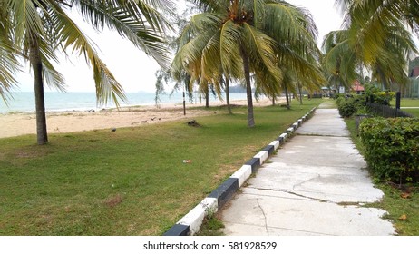 view of tropical beach with coconut palm trees. low light

