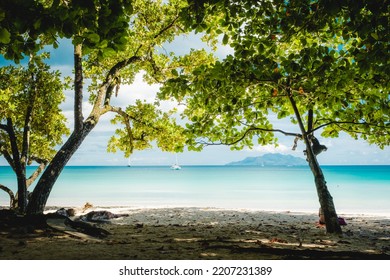 View of a tropical beach through the branches and leaves of trees at Mahe Seychelles. Beau Vallon Beach. - Shutterstock ID 2207231389