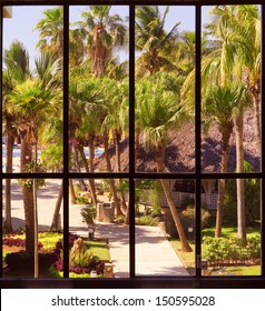 view of a tropical garden through a panoramic window