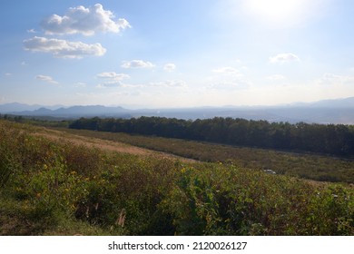 View Of Tung Bua Tong (Mexican Sunflower Field) In Mae Moh Electricity Generating Authority Of Thailand(EGAT).