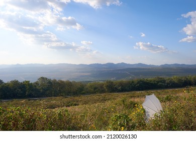 View Of Tung Bua Tong (Mexican Sunflower Field) In Mae Moh Electricity Generating Authority Of Thailand(EGAT).