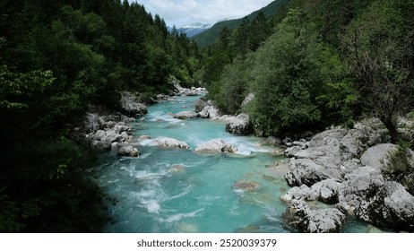 View of the turquoise, rushing waters of the Soca River in the Julian Alps of Slovenia. Beautiful mountain river flowing through evergreen forest.