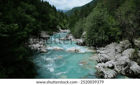 Foto Bild Fluss, der im Sommer durch den Wald fließt. Natürliche Landschaft im Hintergrund.