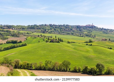 View of the Tuscan countryside with the village of Pienza on the hill