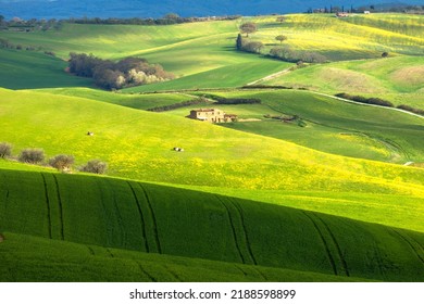 The View Of The Tuscan Hills