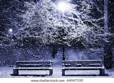 View of two benches and shining lantern through snowing. Blue tone. Night shot.
