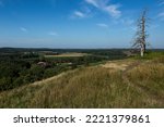 View of two dried pine trees without bark against sky on top of Hakoinen Castlehill in summer, Hakoinen, Janakkala, Finland.