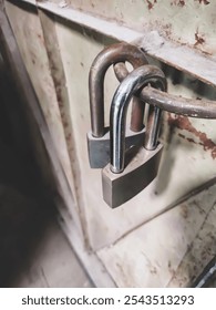 view of two old Padlocks on an iron door.