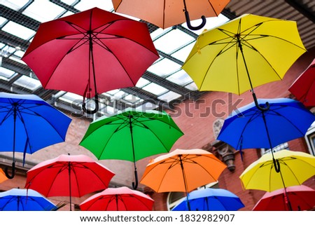view of umbrellas of all colors