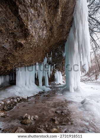 View from under a limestone overhang with icicles and frozen waterfall in a forest ravine near Matejovce nad Hornádom, Slovak Paradise, Slovakia. Winter icefall and stream.