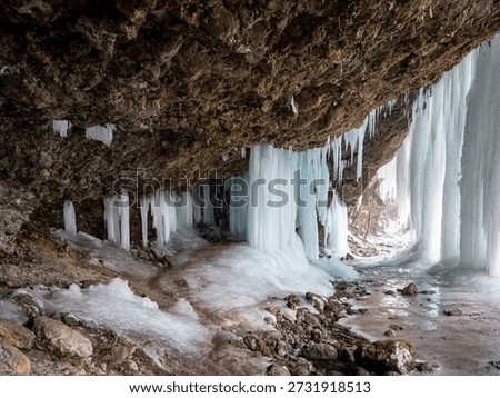 View from under a limestone overhang with icicles and frozen waterfall in a forest ravine near Matejovce nad Hornádom, Slovak Paradise, Slovakia. Winter icefall and stream.