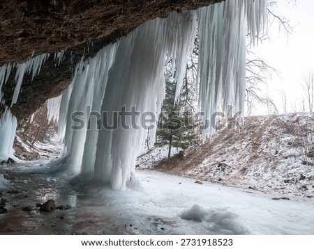 View from under a limestone overhang with icicles and frozen waterfall in a forest ravine near Matejovce nad Hornádom, Slovak Paradise, Slovakia. Winter icefall and stream.