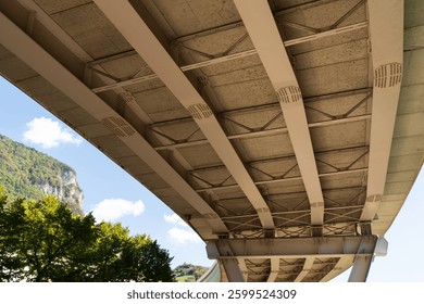 View from underneath large bridge with visible support beams. The scene blends urban infrastructure with the surrounding natural environment